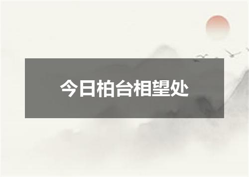 今日柏台相望处