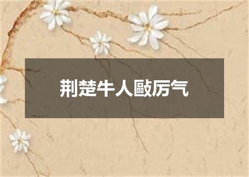 荆楚牛人敺厉气
