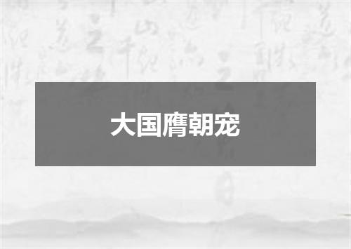 大国膺朝宠