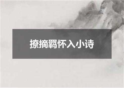 撩摘羁怀入小诗