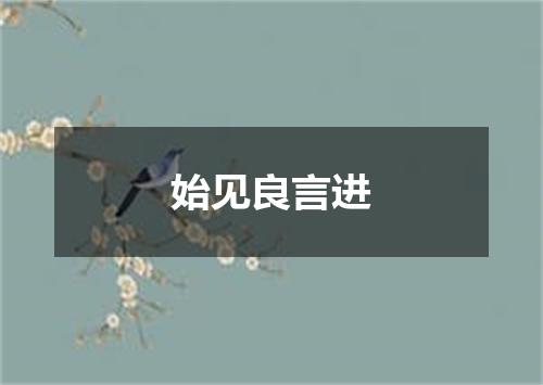 始见良言进