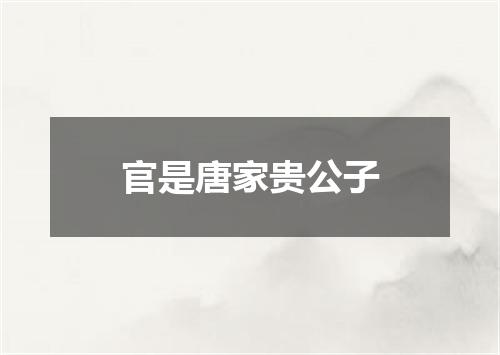 官是唐家贵公子