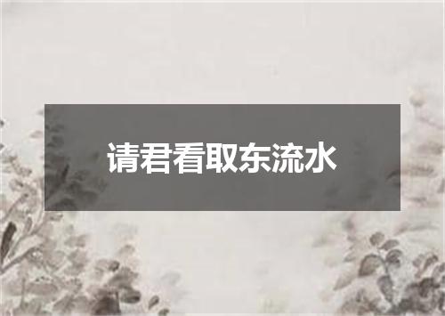 请君看取东流水