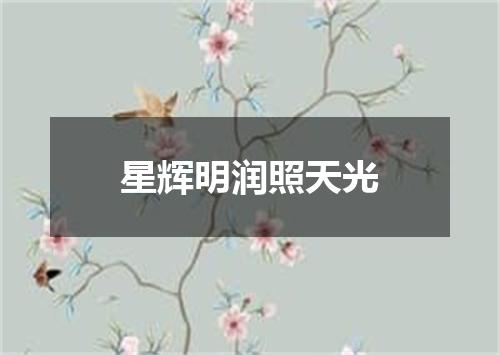 星辉明润照天光