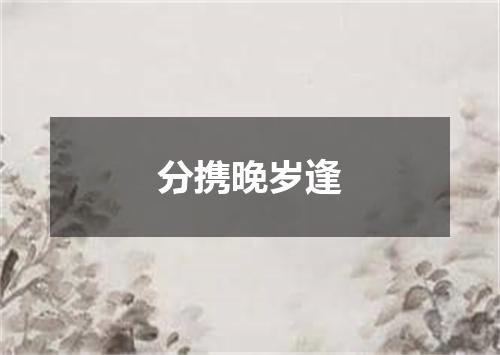 分携晚岁逢