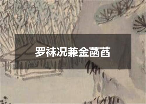 罗袜况兼金菡萏