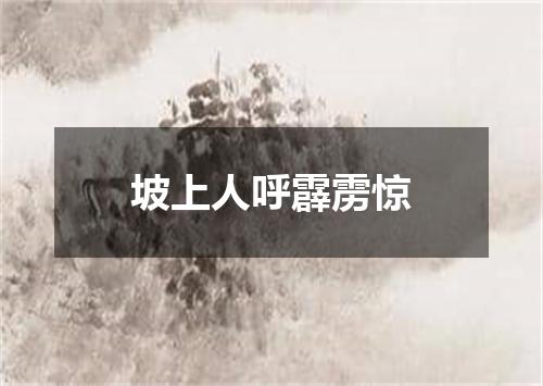 坡上人呼霹雳惊