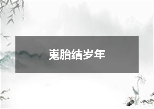 嵬胎结岁年