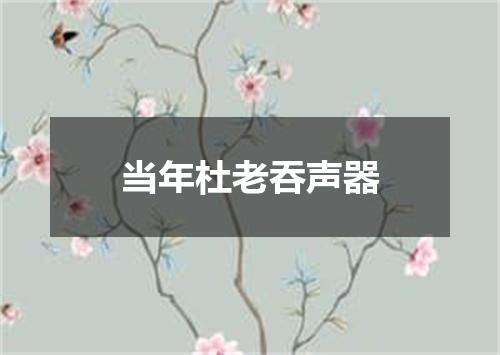 当年杜老吞声器