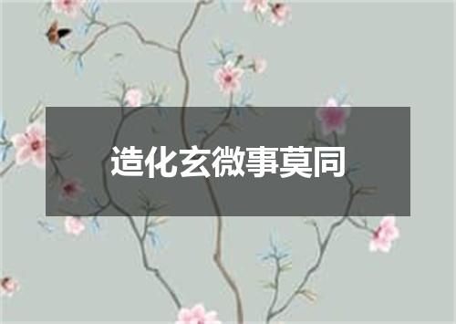 造化玄微事莫同