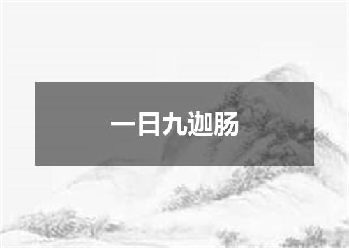 一日九迦肠
