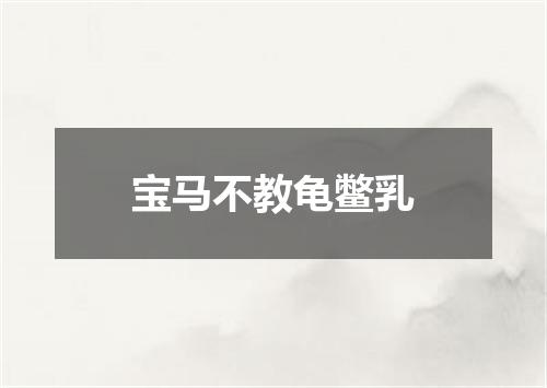 宝马不教龟鳖乳