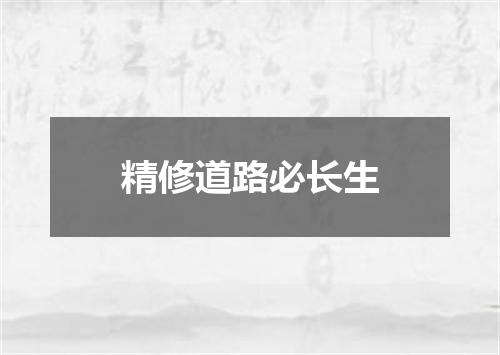 精修道路必长生
