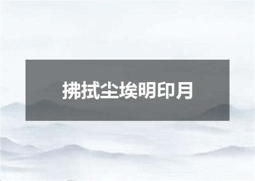 拂拭尘埃明印月