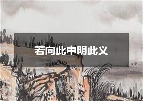 若向此中明此义