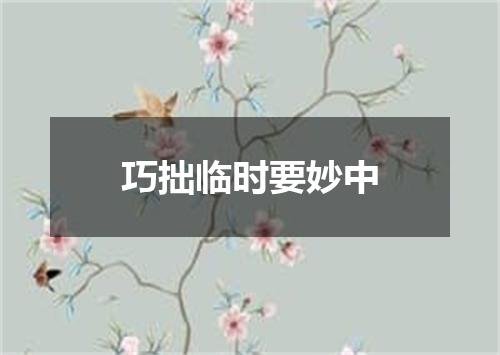 巧拙临时要妙中