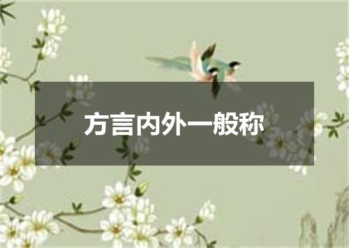 方言内外一般称