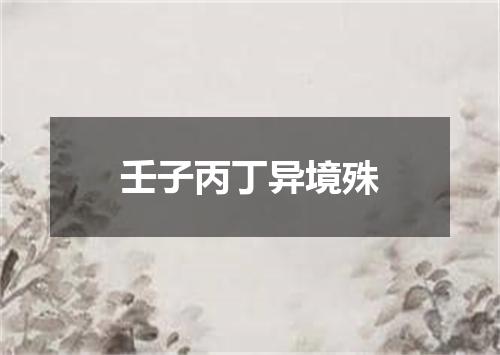 壬子丙丁异境殊