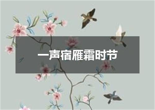 一声宿雁霜时节