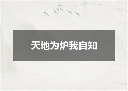 天地为炉我自知