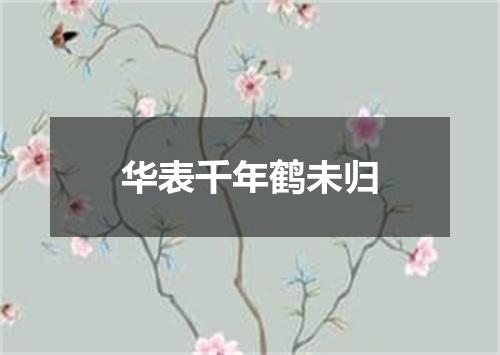 华表千年鹤未归