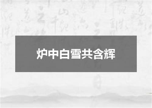 炉中白雪共含辉