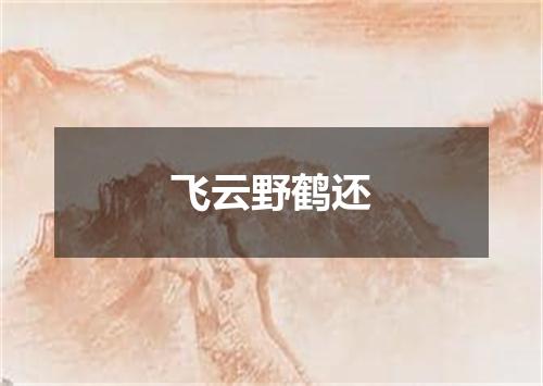 飞云野鹤还