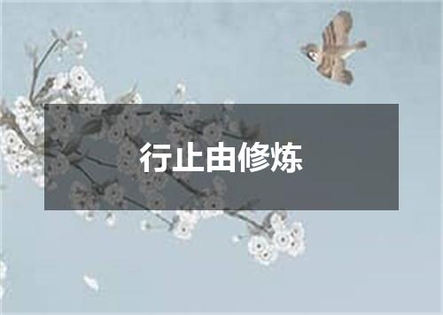 行止由修炼