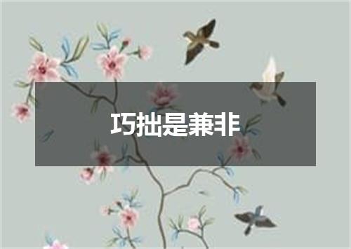 巧拙是兼非