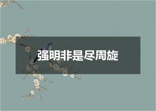强明非是尽周旋