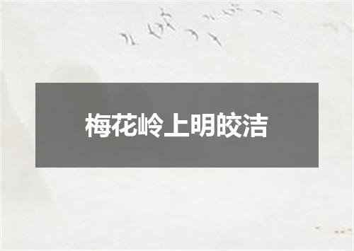 梅花岭上明皎洁