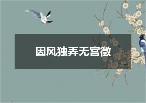 因风独弄无宫徵