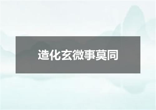 造化玄微事莫同