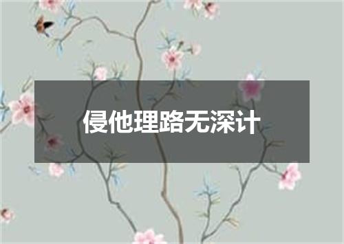 侵他理路无深计