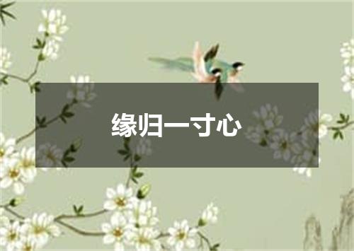 缘归一寸心