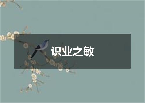识业之敏