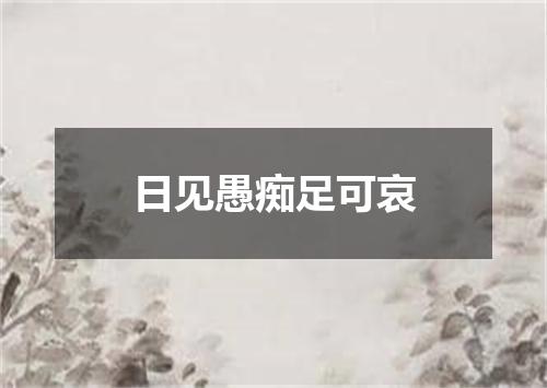 日见愚痴足可哀