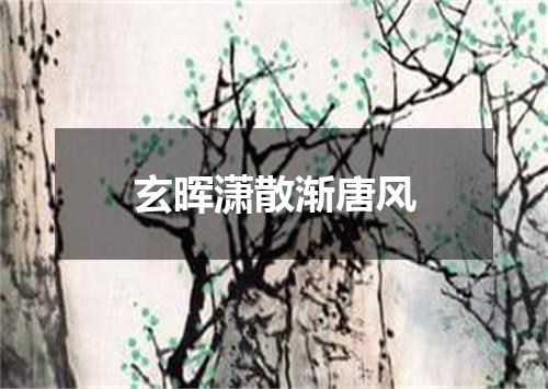 玄晖潇散渐唐风