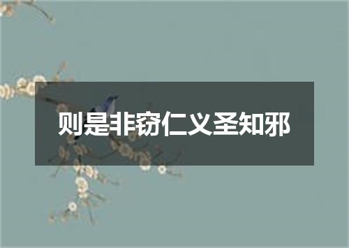 则是非窃仁义圣知邪