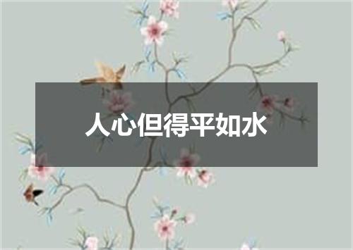 人心但得平如水