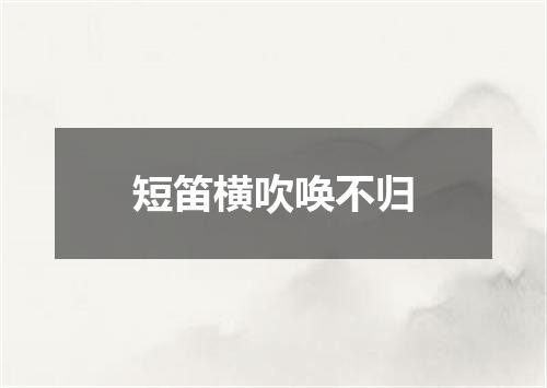 短笛横吹唤不归