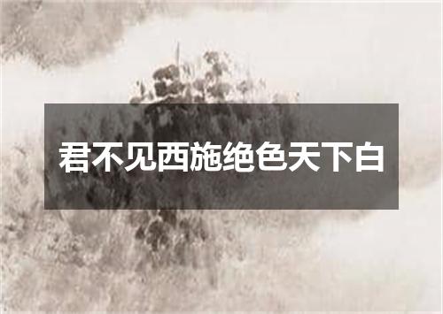 君不见西施绝色天下白