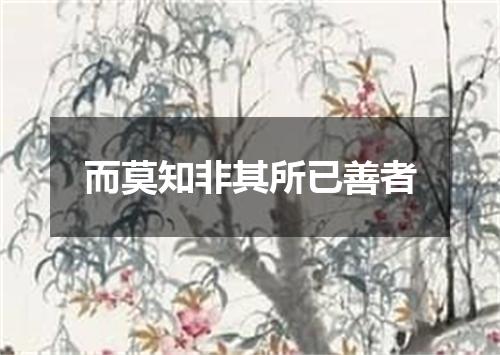 而莫知非其所已善者
