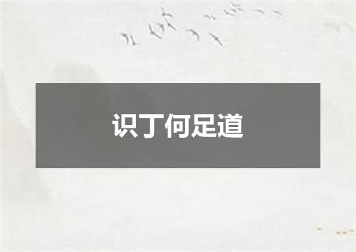 识丁何足道