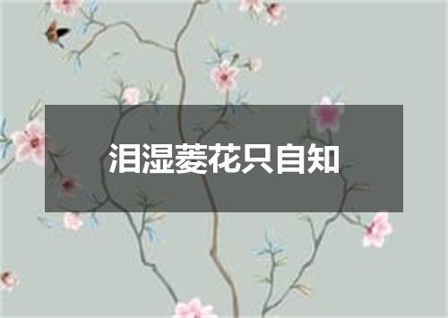泪湿菱花只自知