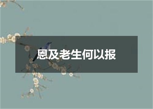 恩及老生何以报