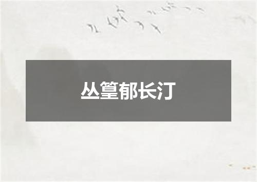 丛篁郁长汀