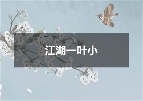 江湖一叶小