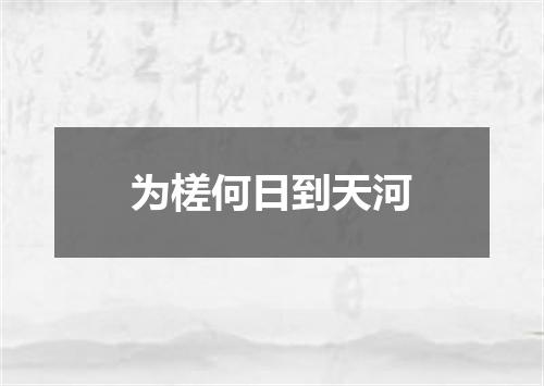 为槎何日到天河