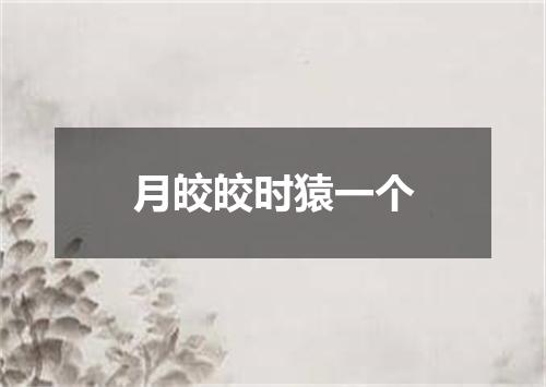 月皎皎时猿一个